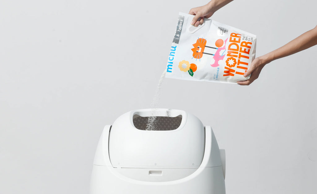 Why Choosing the Right Cat Litter Matters for Auto Boxes