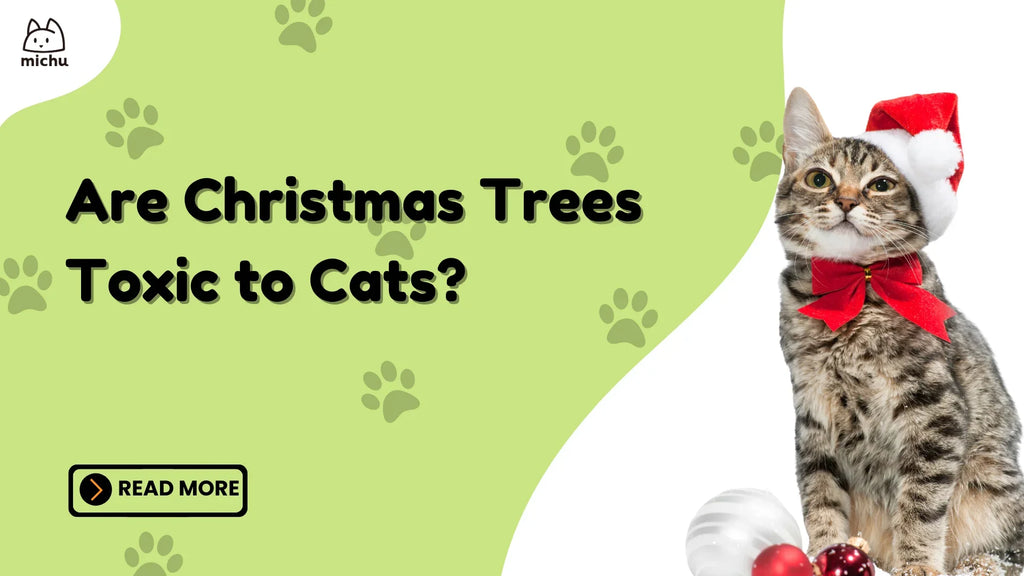 Are christmas trees toxic to cats