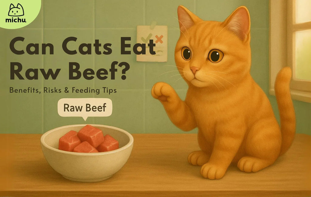 can cats eat raw beef