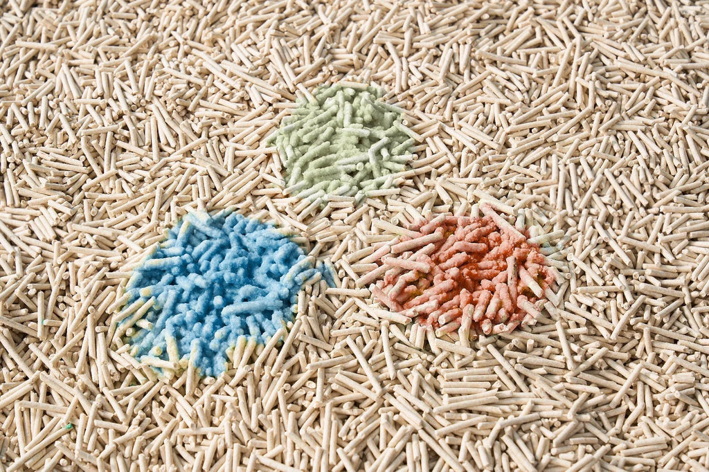 Why Monitoring Your Cat’s Health Starts at the Litter Box？