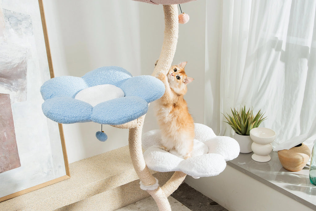 Territorial Conflicts on Cat Tree – Managing Multiple Cats and Cat Tree Use at Home