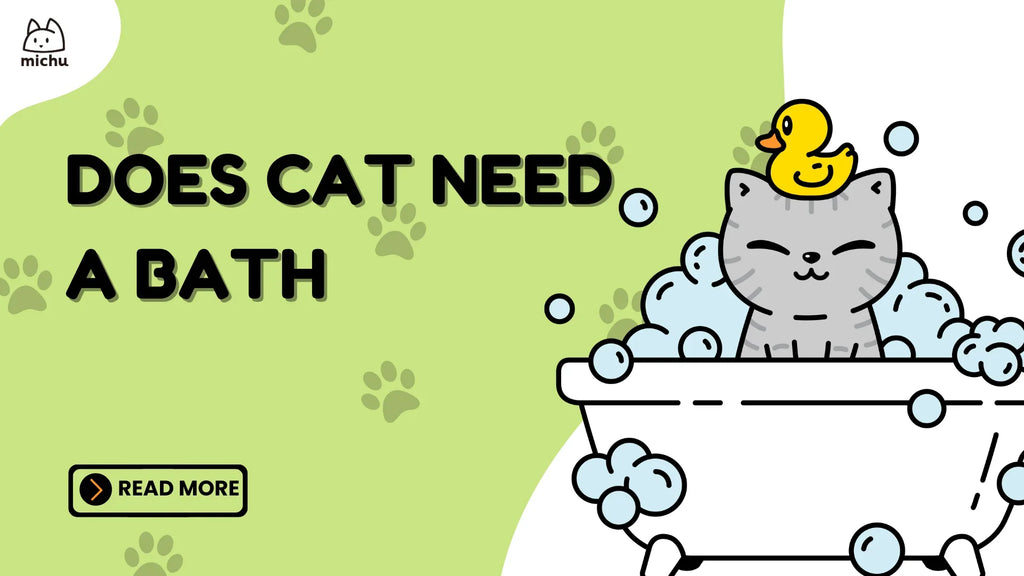 do cats need a bath