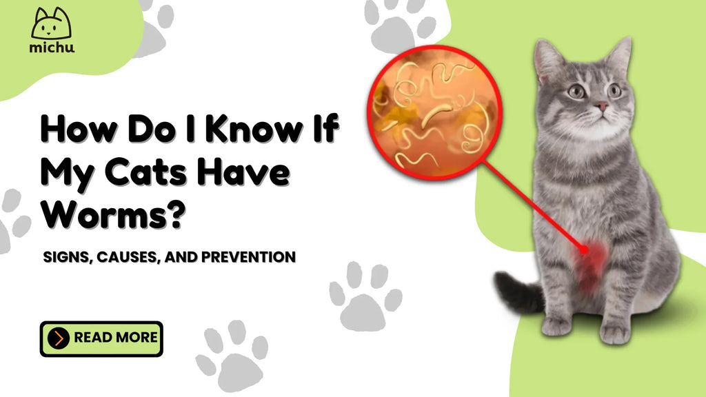 How Do I Know If My Cat Has Worms? Signs, Causes, and Prevention