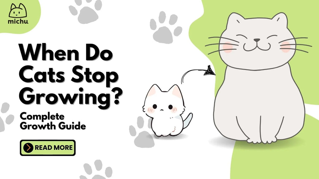 when do cats stop growing