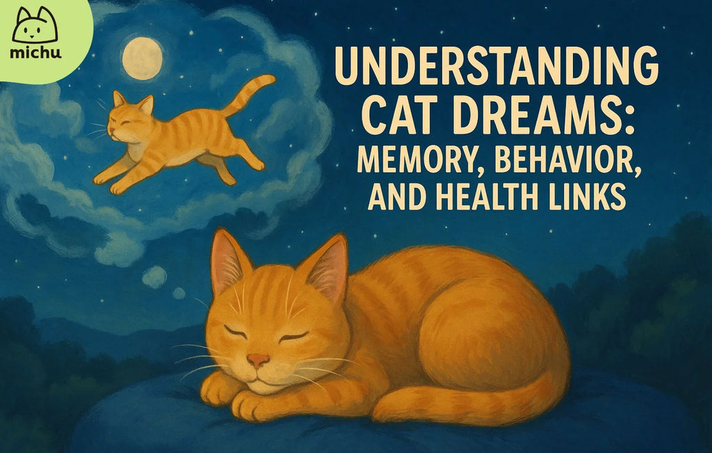 Understanding cat dreams