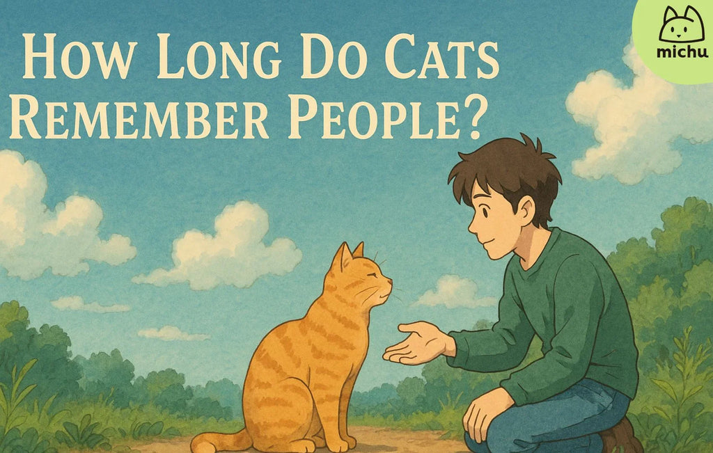 How Long Do Cats Remember People?