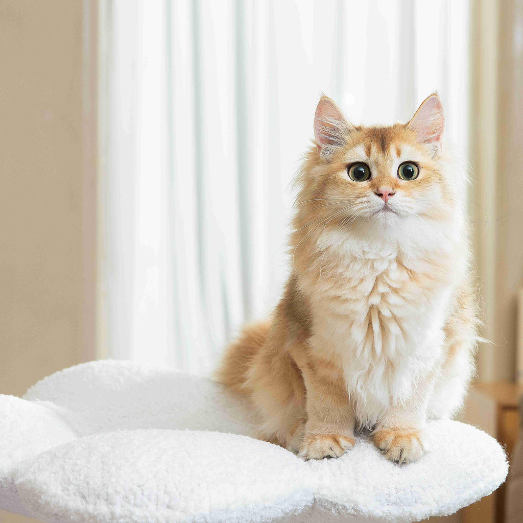 MICHU Fairy Cat Tower Deluxe 4-Tier Designer Flower Cat Tree 7