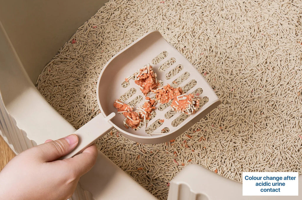 Michu Health Monitoring Tofu Cat Litter 2.5kg/6L - Complete pH Monitoring from Acidic to Alkaline