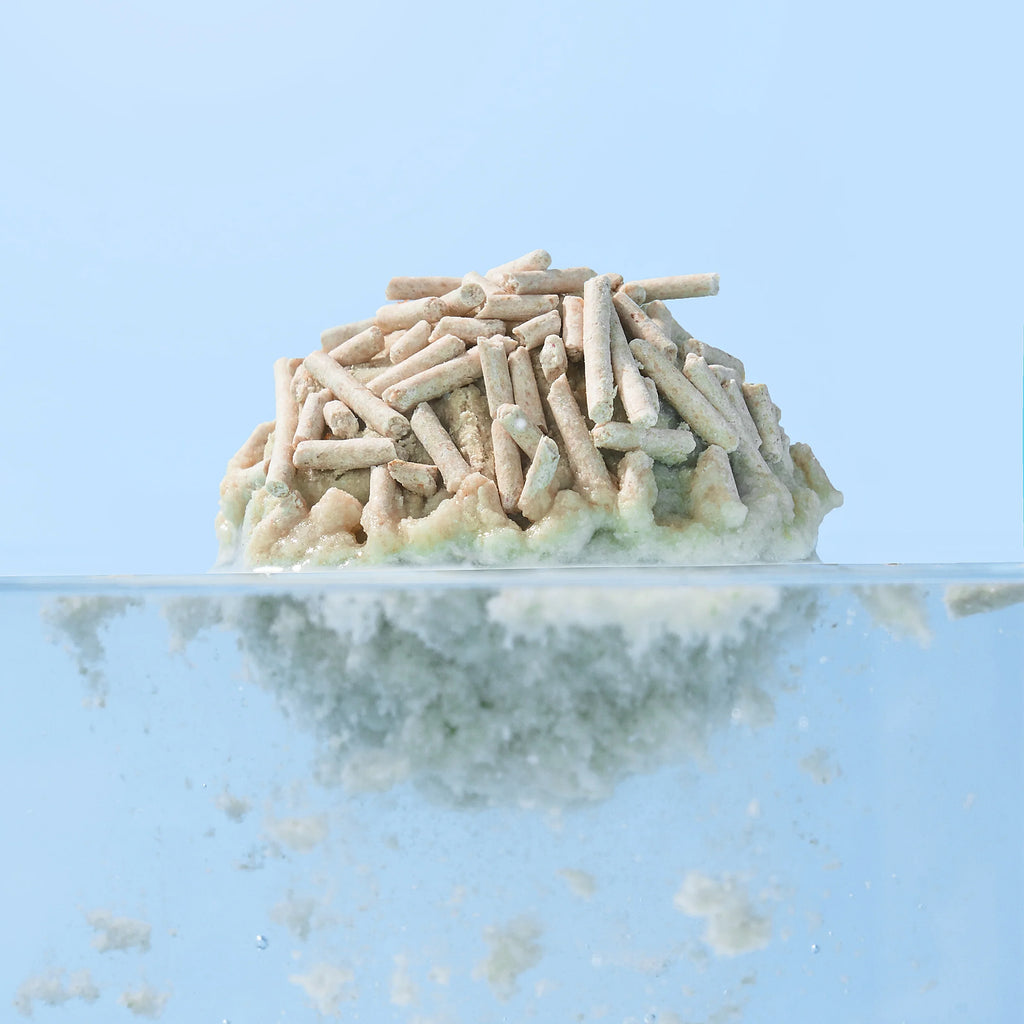 Michu Health Monitoring Tofu Cat Litter 2.5kg/6L - Complete pH Monitoring from Acidic to Alkaline