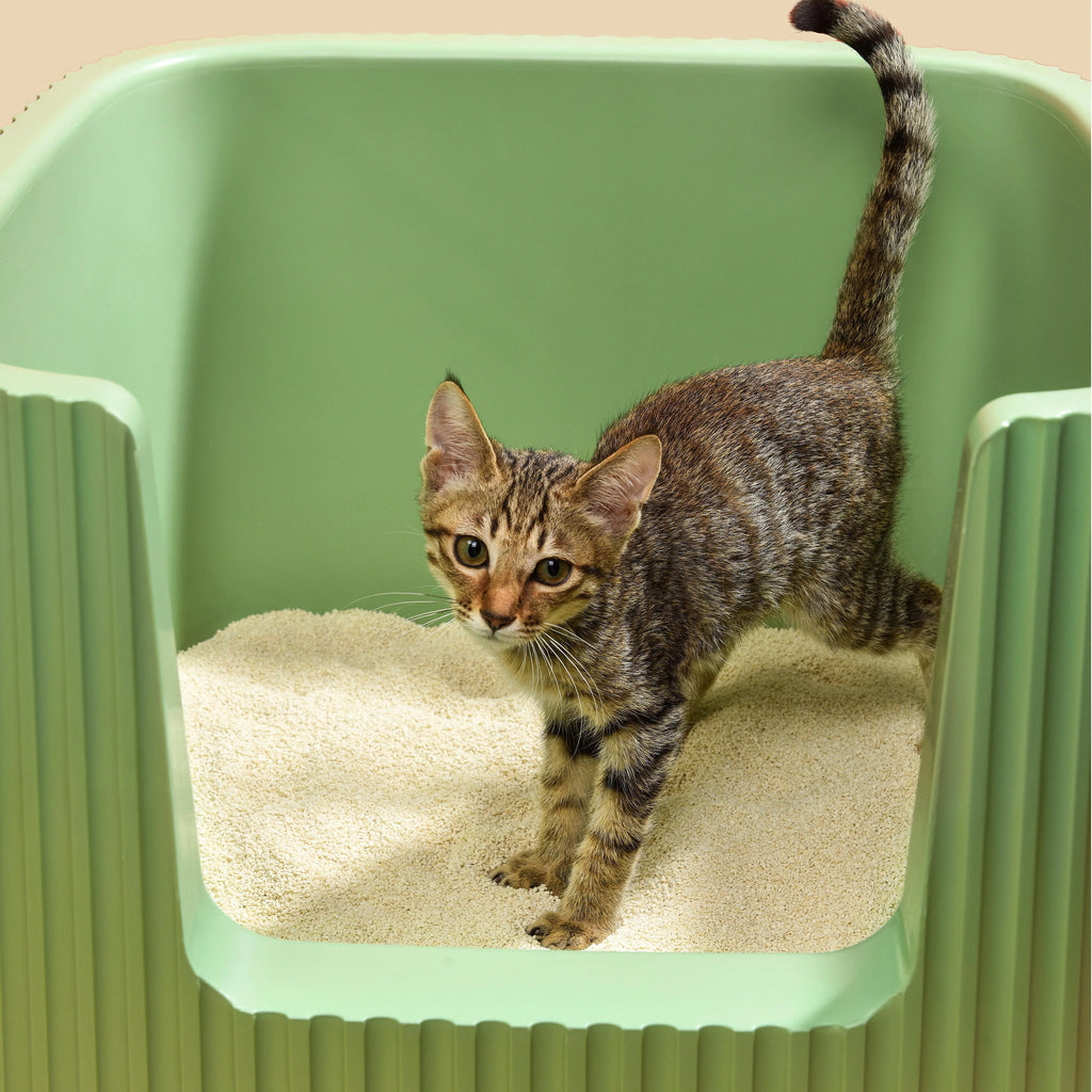 Michu Kitten Litter - Safe, Gentle & Perfect for Small Cats