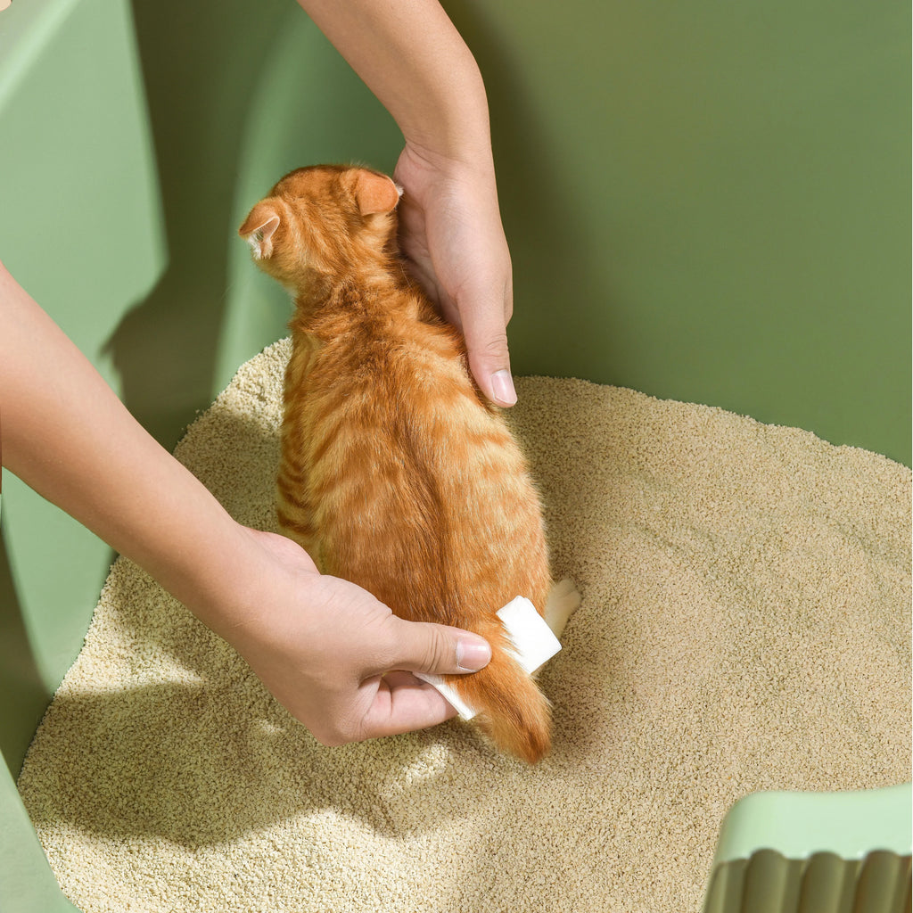 Michu Kitten Litter - Safe, Gentle & Perfect for Small Cats