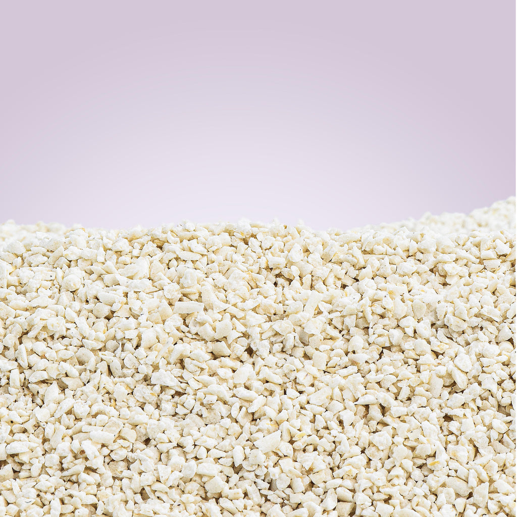 Michu Kitten Litter - Safe, Gentle & Perfect for Small Cats