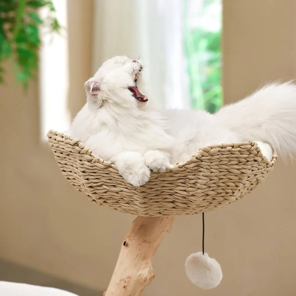 Michu Premium Real Wooden Cat Tree-Medium- Spacious Australian Feline Haven