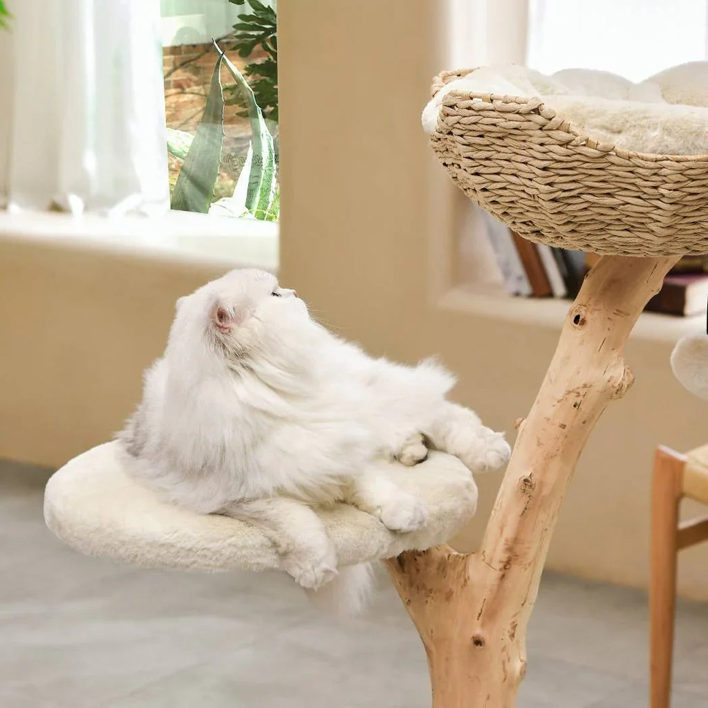 Michu Premium Real Wooden Cat Tree-Medium- Spacious Australian Feline Haven