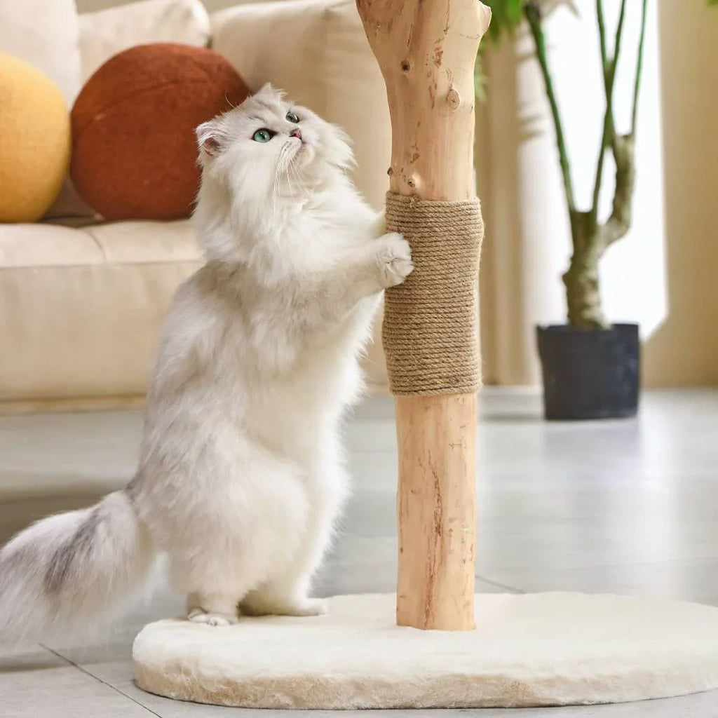 Michu Premium Real Wooden Cat Tree-Medium- Spacious Australian Feline Haven