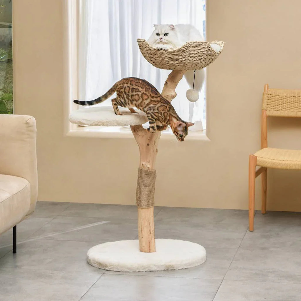Michu Premium Real Wooden Cat Tree-Medium- Spacious Australian Feline Haven