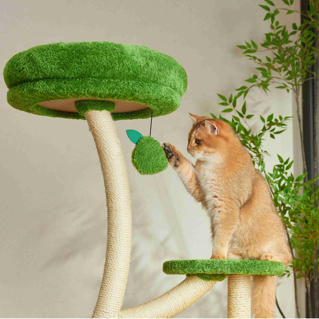 Michu Verde Solid Wooded Base Cat Tree