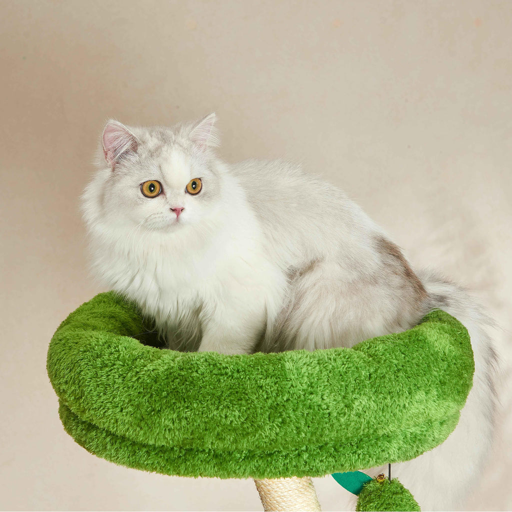 Michu Verde Solid Wooded Base Cat Tree