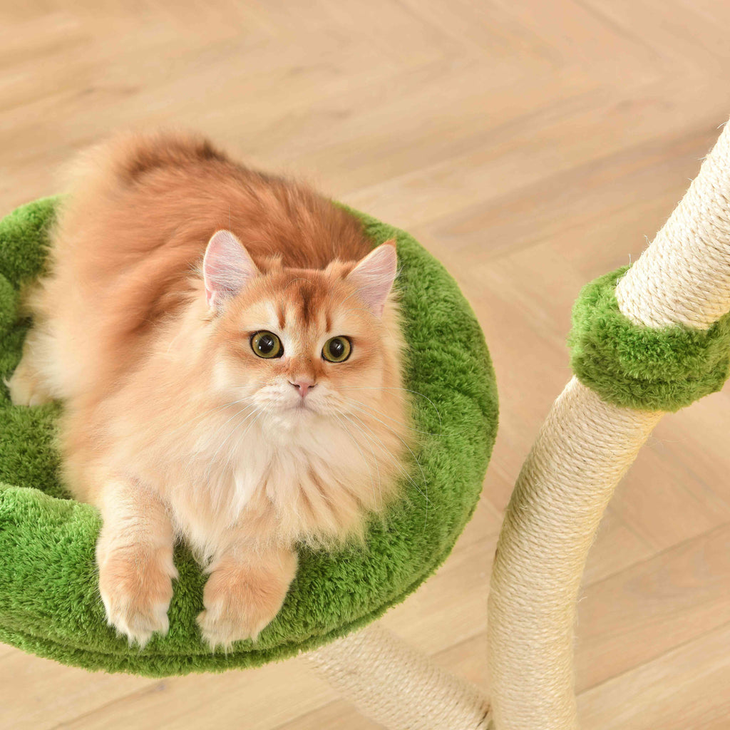 Michu Verde Solid Wooded Base Cat Tree