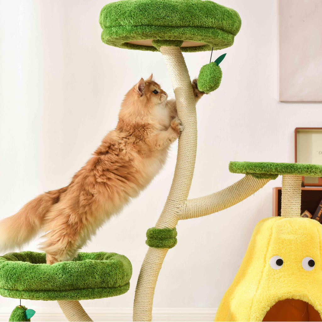 Michu Verde Solid Wooded Base Cat Tree