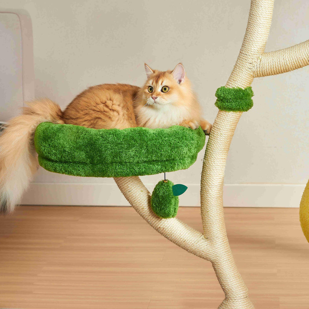 Michu Verde Solid Wooded Base Cat Tree