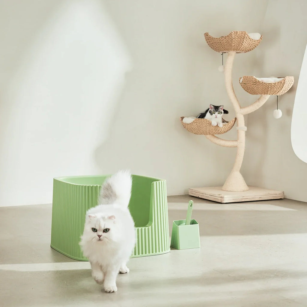 Michu XXL Sage Deluxe Cat Litter Box - Spacious Design