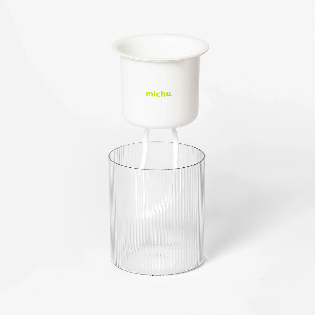 MICHU All-in-One Soil-Free Cat Grass Grow Kit with Australian Seed and Mulch, Made in Australia - Michu Australia