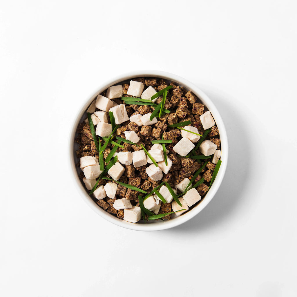 MICHU All-in-One Soil-Free Cat Grass Grow Kit with Australian Seed and Mulch, Made in Australia - Michu Australia