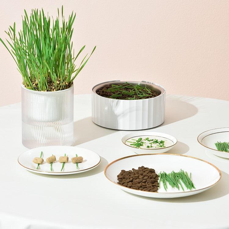 MICHU All-in-One Soil-Free Cat Grass Grow Kit with Australian Seed and Mulch, Made in Australia - Michu Australia