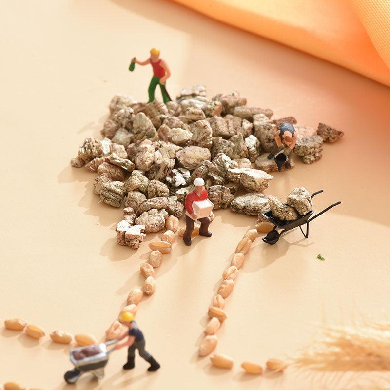 Michu Cat Grass Seed Replacement Pack - The Ultimate Solution for Lush and Healthy Cat Grass Growth in Australia