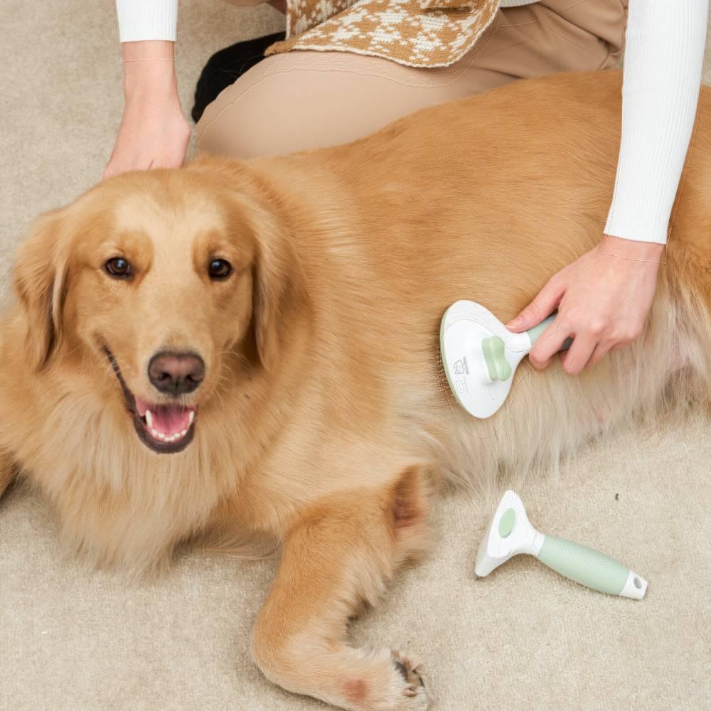 Michu Round Head Cream Pet Grooming Brush - Furrytail