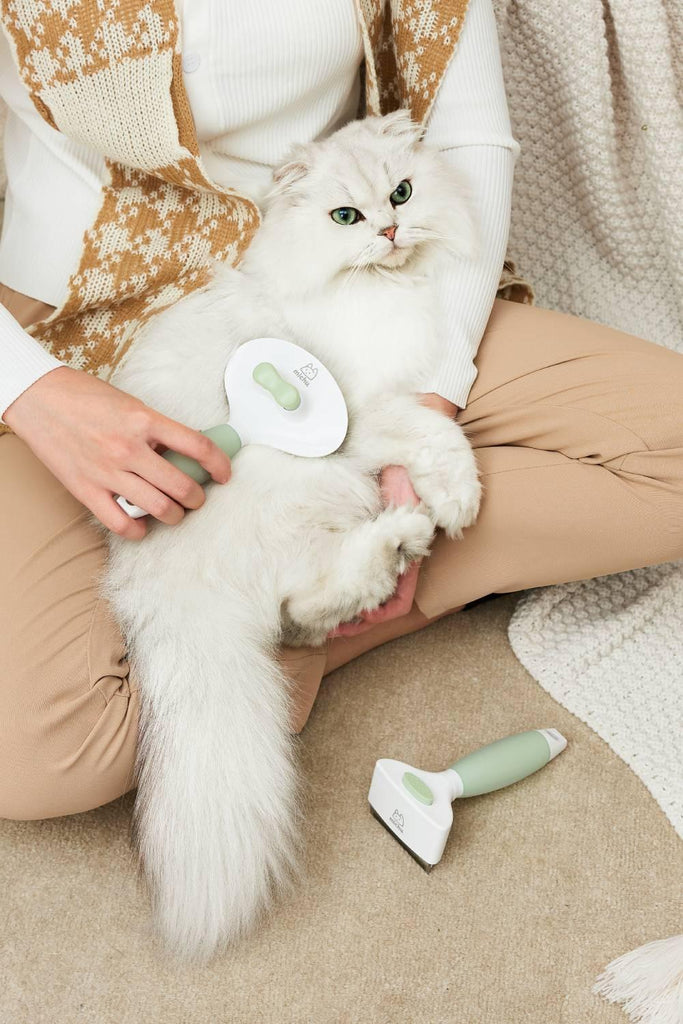 Michu Round Head Cream Pet Grooming Brush - Furrytail