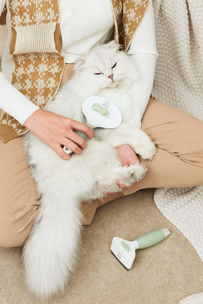 Michu Round Head Cream Pet Grooming Brush - Furrytail