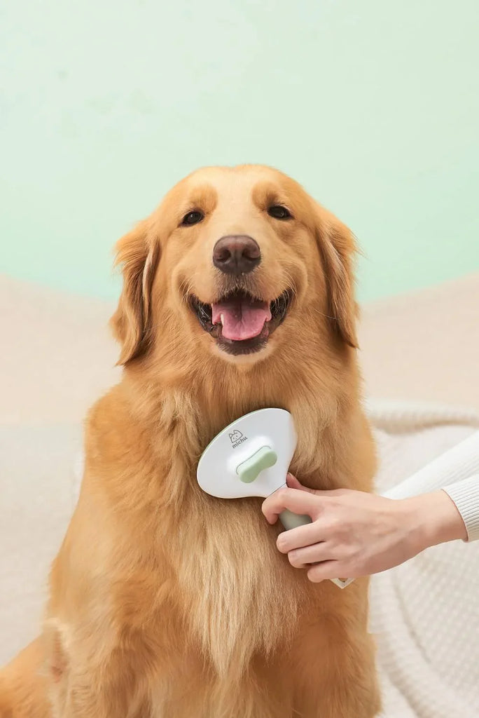 Michu Round Head Cream Pet Grooming Brush - Furrytail