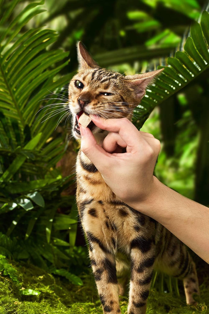 Michu Freeze Dried Raw Pet Food 150g - Furrytail