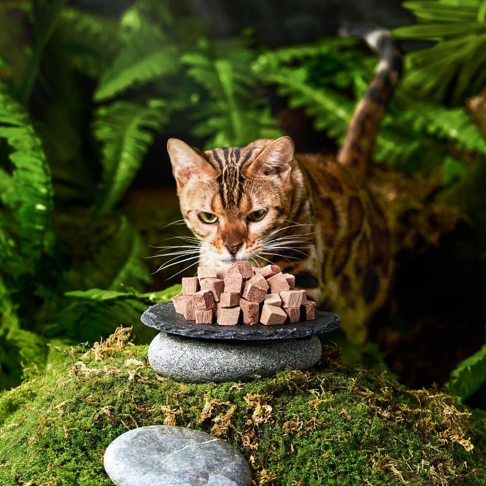 Michu Freeze-Dried Raw Pet Food Pet Food 150g - Made in Australia - Michu Australia