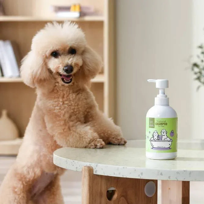 Michu Pet Shampoo - Australia's Best Natural Pet Shampoo for a Shiny Coat - Michu Australia