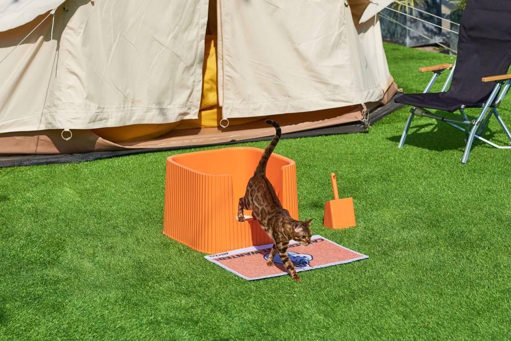 Michu XXL Coral Deluxe Cat Litter Box - Spacious Design - Michu Australia